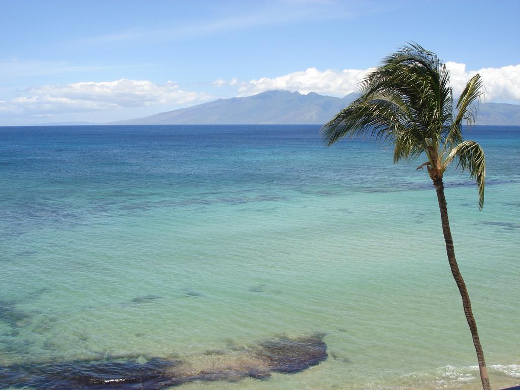 Kaleialoha Condominiums Lahaina Kültér fotó