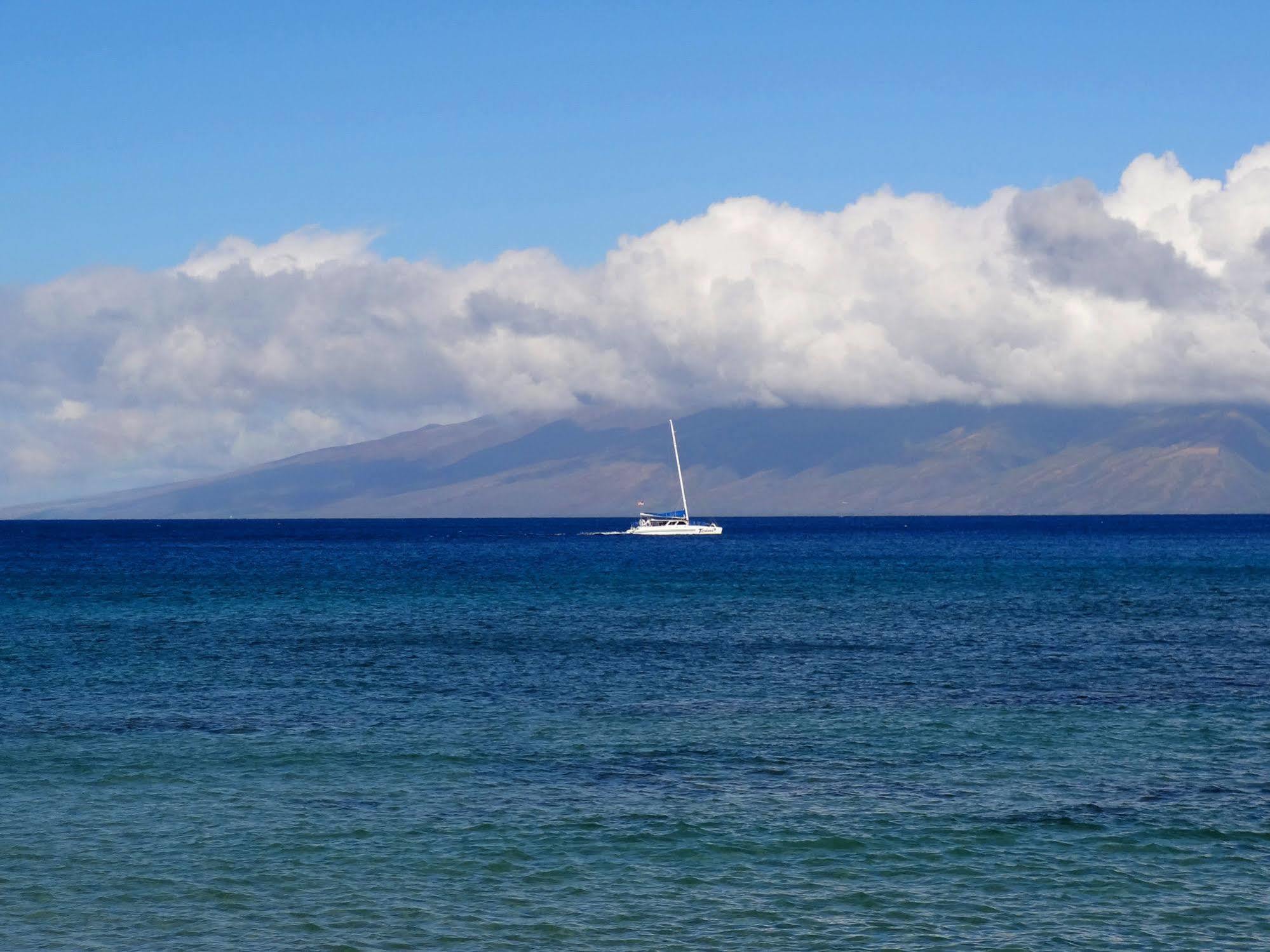 Kaleialoha Condominiums Lahaina Kültér fotó